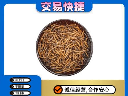 阿勒泰回收散虫草